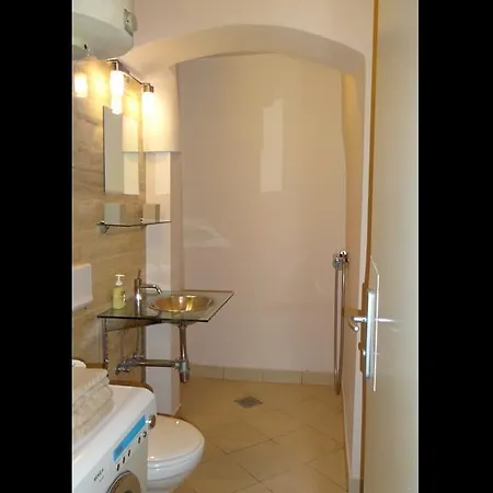 Domus Romanus * Liubliana